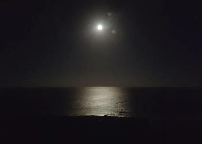 The Paradise On The Ocean 3