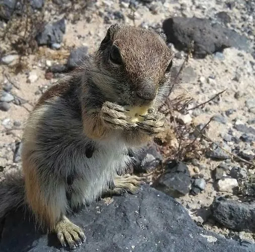 Apartment The Paradise On The Ocean 3