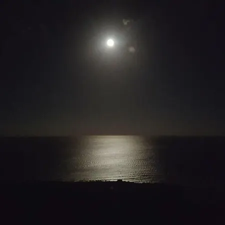 The Paradise On The Ocean 3